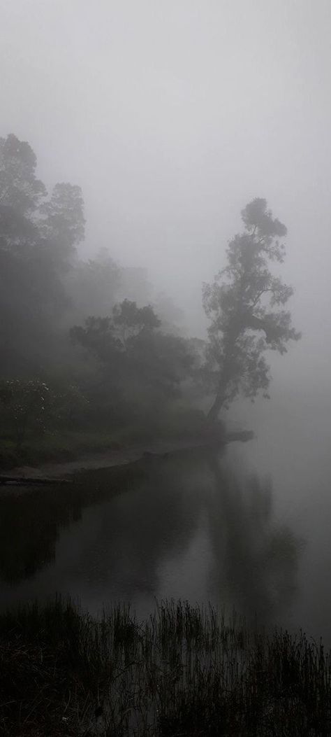 Paradis Sombre, Scandinavian Landscape, Misty Lake, Dark Naturalism, Dark Forest Aesthetic, Rainy Day Aesthetic, Dark Landscape, Dark Green Aesthetic, Foggy Forest