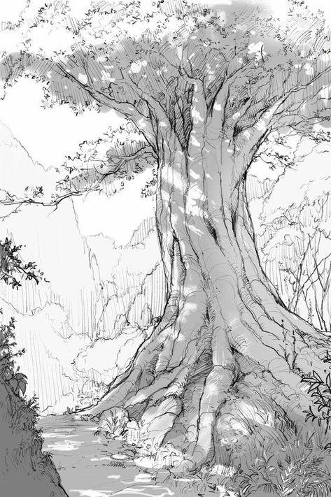 Drawing Pencil Sketches, Tree Drawings Pencil, Nature Sketch, Tree Sketches, Landscape Sketch, Background Drawing, Pencil Sketches, Nature Drawing, Drawing Pencil