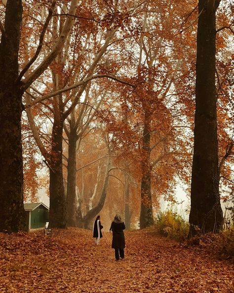 رُقيّة جميل on Instagram: “There are friends, there's family and then there are friends that become family. 💕 . #friends #autumn #NishatBagh #kashmir . #autumnvibes🍁…” Autumn In Kashmir, Autumn Kashmir, Family Of 3 Aesthetic, Friends Autumn, Family Of 3, Travel Pictures Poses, Pictures Poses, Srinagar, Love Travel