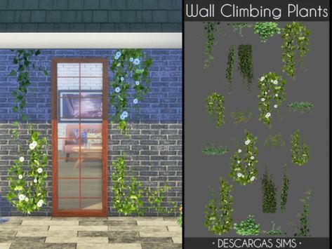 Wall Climbing Plants, Wall Climbing, Sims 4 Cc Download, Sims Packs, Kitchen Plants, Sims 4 House Plans, Plants Wall, Hanging Plant Wall, The Sims 4 Packs