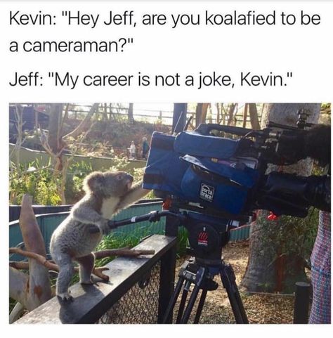 Funny Aussie, Aussie Memes, Australian Memes, Funny Australian, Lol Hilarious, Funny Koala, Australia Funny, Meme Page, Funny Tumblr Posts