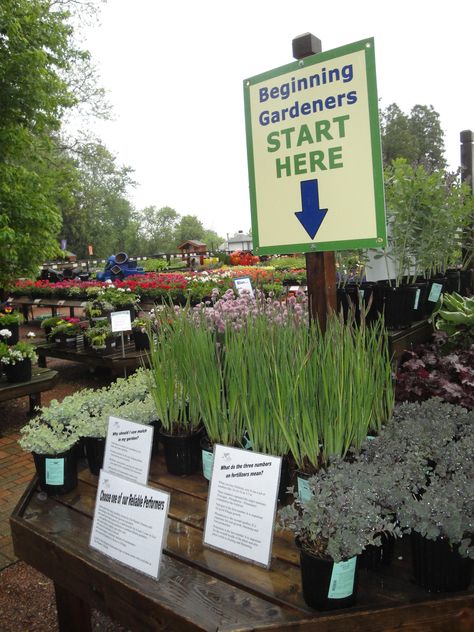 Planter's Palette                                                                                                                                                                                 More Nursery Display Ideas, Pallet Gardens, Pinterest Plant, Garden Center Displays, Plant Watering System, Wooden Greenhouses, Greenhouse Growing, Natural Fertilizer, Greenhouse Plans