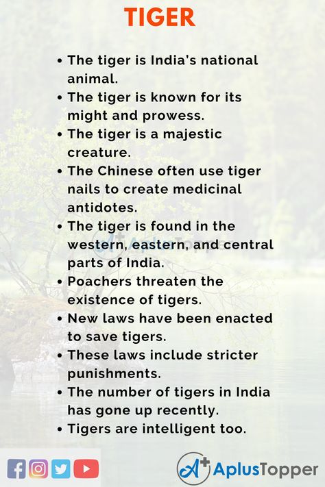 Essay on Tiger | Tiger Essay for Students and Children in English - A Plus Topper English Essays, Essay Writing Examples, College Essay Examples, Writing Examples, India For Kids, Weird Quotes, Holiday Homework, English Word Book, Tiger Poster