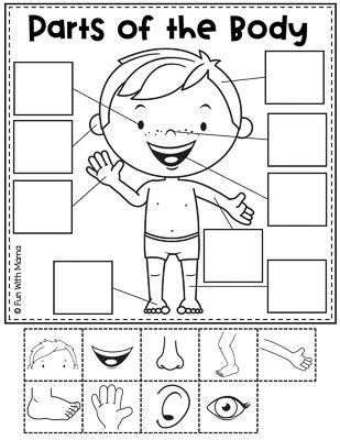 parts of the body The Body Crafts For Preschool, About Me Worksheets For Preschool, Parts Of My Body Preschool, All About Me Body Parts Preschool, Me And My Body Preschool Activities, My Healthy Body Preschool Activities, Preschool Body Parts Activities, Teaching Activities For Kids, Sains Activity For Preschool