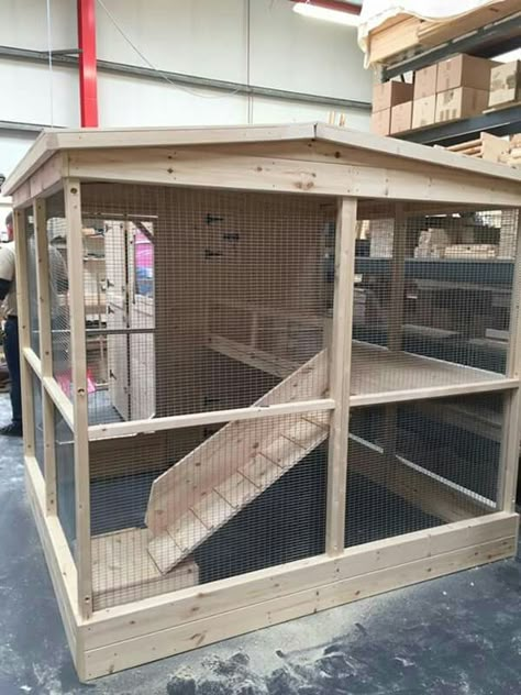 Outdoor Rabbit Cage Ideas, Rabbit Hutches Outdoor, Diy Rabbit Shed, Bunny Hutches Outdoor, Outdoor Ferret Enclosure Diy, Outdoor Bunny Habitat Diy, Diy Outdoor Bunny Enclosure, Diy Bunny Hutch Outdoor, Rabbit Hutch Outdoor Diy