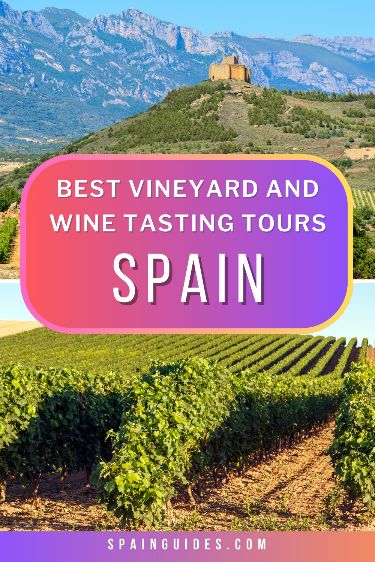 Vineyard and Wine Tasting Tours In Spain. Sip, Savor, and Soak in the Splendor of Spanish Vineyards! Join Our Exclusive Wine Tasting Tours for a Journey through Spain's Rich Winemaking Heritage. Our complete Spain travel guide is your Passport to Exquisite Flavours and Unforgettable Memories! Spain Wine, Spain Tour, Wine Country Travel, Grape Varieties, Spain Travel Guide, Spanish Wine, Winery Tours, Beauty Culture, Best Wine