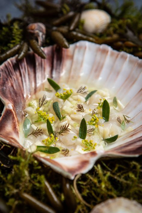 Serving scallops in their raw form is one of the best ways to showcase their incredible natural sweetness. Here, Amy Elles dices scallop and combines it with cucumber and cured fennel to make a tartare, which is presented in the shells alongside a tomato consommé for an elegant but fantastically fresh starter. Scallop Tartare, Raw Fish Recipes, Seafood Scallops, Sashimi Recipe, Tartare Recipe, Scallop Dishes, Great British Chefs, Savory Herb, Homemade Sushi