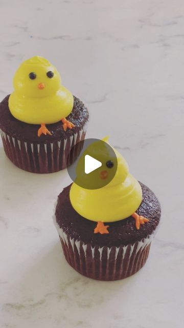 4,928 likes, 40 comments - sugarcoatesbakery on April 17, 2022: "Happy Easter from these cutie little 🐥 cupcakes! • • • • • • • #easter #eastercupcakes #chicks #babychicks #cupcakes #c..." Easter Cupcakes, Easter Dessert, Baby Chicks, Happy Easter, Easter