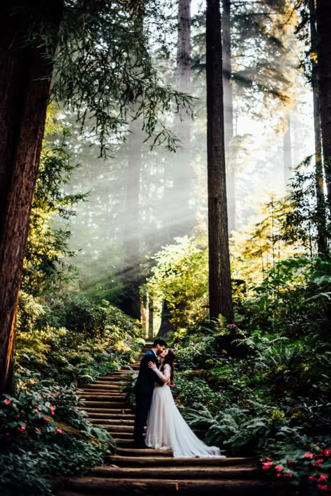 Dream Mountain Wedding, Redwood Wedding Photos, Ferngully Wedding, Redwood Forest Wedding, Woodland Theme Wedding, Forest Weddings, Wyoming Wedding, Wedding Forest, Redwood Wedding