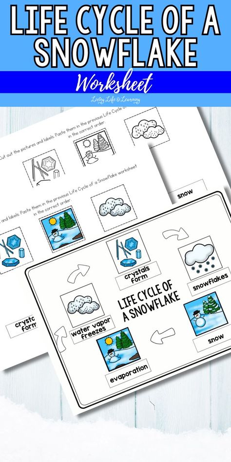 Complete your child's winter homeschool experience by learning how a snowflakes' life cycle works through this easy to print life cycle of a snowflake worksheet. This fun snowflake worksheet is perfect winter themed activity for the chilly weather! Snowflake Drawing Simple Step By Step, Life Cycle Of A Snowflake Free Printable, Snowflake Stem Activities, Stem Snowflakes, Winter Weather Activities Preschool, Life Cycle Of Snow, Snowflake Activities For Kids, Snowflake Worksheet, Snow Worksheets