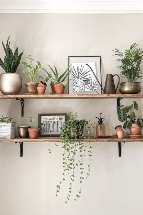 How to Decorate Your House For Spring | Poor Little It Girl Shelves With Plants, Shelf Decor Living Room, نباتات منزلية, Plant Wall Decor, Living Room Plants, Homburg, Plant Decor Indoor, House Plants Decor, Room With Plants