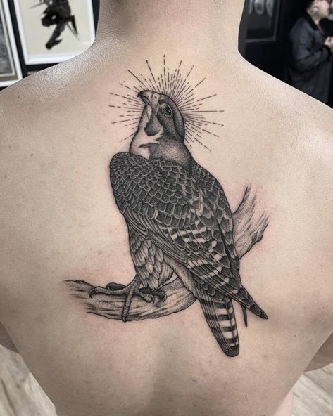 Menacing Tattoo, Falcon Tattoo Design, Atlanta Falcons Tattoo, Peregrine Falcon Tattoo, Falcon Tattoo, Ancient Egyptian Deities, Traditional Sleeve, Peregrine Falcon, Eye Tattoo