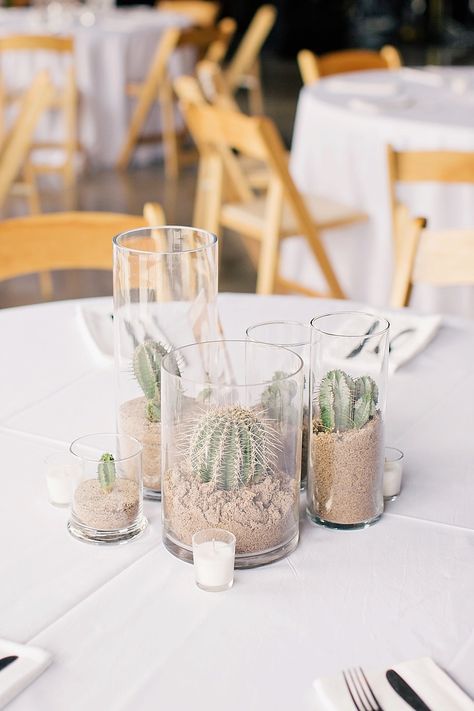 Photography: To Live. To Love. Photography - tolivetolovephotography.com/blog/  Read More: http://www.stylemepretty.com/2015/01/13/modern-chic-marfa-texas-wedding-by-to-live-to-love-photography/ Marfa Texas Wedding, Cactus Centerpiece, Southwestern Wedding, Cactus Wedding, Tafel Decor, Modern Desert, Cactus Party, Boda Mexicana, Flower Inspiration