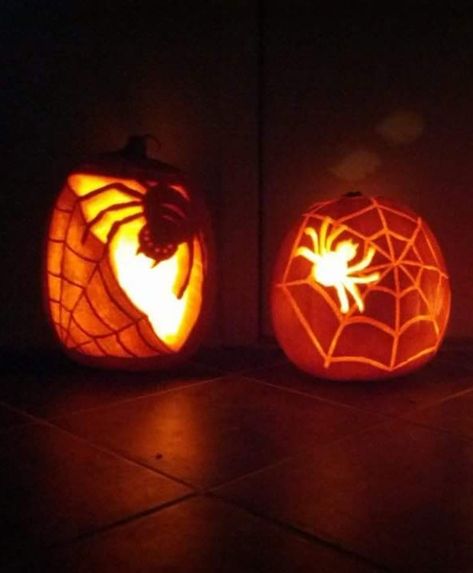 Spider Carved Pumpkin, Pumpkin Carving Ideas Intermediate, Spiderweb Pumpkin Carving, Spider Pumpkin Carving Ideas, Pumpkin Carving Ideas Spider, Spider Web Pumpkin Carving, Pumpkin Carving Spider, Spider Pumpkin Carving, Pumpkin Carving With Drill