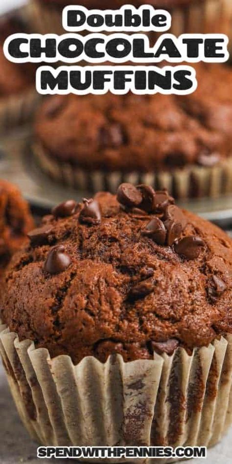 Easy-to-make chocolate muffins are also decadently sweet. Nothing beats this muffin recipe for taste and flavor, but they would also taste good with some added shredded zucchini or mashed ripe banana. Just mix them in and bake. #chocolatemuffins #doublechocolatechipmuffins #chocolatechipmuffins #spendwithpennies Double Chocolate Chip Muffin Recipe, Chocolate Muffins Moist, Chocolate Chip Muffins Easy, Double Chocolate Chip Muffins, Pumpkin Muffins Easy, Banana Blueberry Muffins, Double Chocolate Muffins, Sweet Breakfast Treats, Sweet Muffin