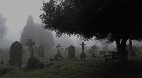 Old Cemetery, White Goth, Dark Landscape, Goth Wallpaper, Southern Gothic, Gothic Aesthetic, Goth Aesthetic, The Fog, Grunge Photography