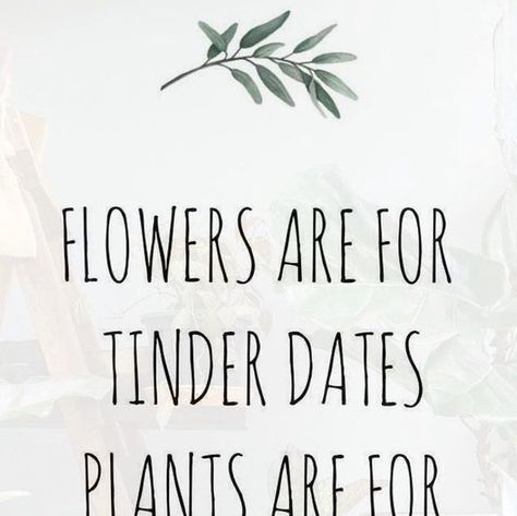 Eco Lovers Forever | Agree or disagree? 🌱🤩
-
-
-
-
Credit to @plants.rs 
-
-
-
-
-
-
-
-
#plantmemes #plants #plant #plantsofinstagram #plantsmakepeople... | Instagram Date Plant, Tinder Dating, Plant Life, Plant Lover, Plant Hanger, Memes, Plants, Quotes, On Instagram