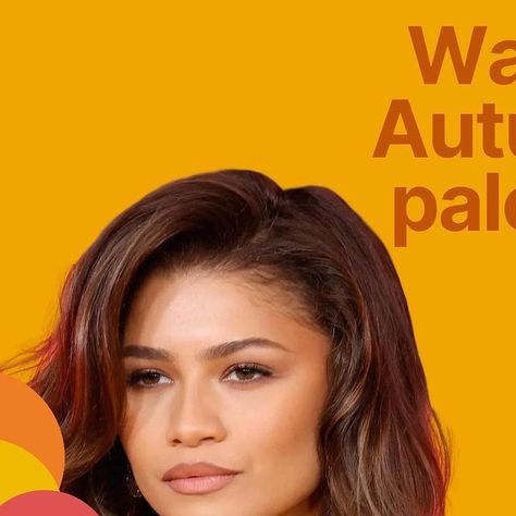 Seasonal colour analysis by Maggie T. on Instagram: "🕶️Zendaya is in the Warm Autumn palette! Warm colours look stunning on her! Do you know your best colours? Color analysis helps you find out. Follow and join our colour discovery journey! @enlight.colour.London #colouranalysis #hocautumn #trueautumn #zendaya #lightspring #warmspring #lightsummer #truewinter #darkautumn #warmautumn #deepautumn #softautumn #imageconsultant #personalstylist #style #fashion #houseofcolour #colourconsultant #c Warm Autumn Palette, Seasonal Colour Analysis, Autumn Palette, Colour Analysis, Colour Consultant, Warm Colours, True Winter, Deep Autumn, Seasonal Color Analysis