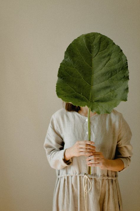 Minimal Photo, Self Portrait Photography, Plant Photography, Big Leaves, Foto Art, Adobe Photoshop Lightroom, Plant Lady, Photoshop Lightroom, Food Styling