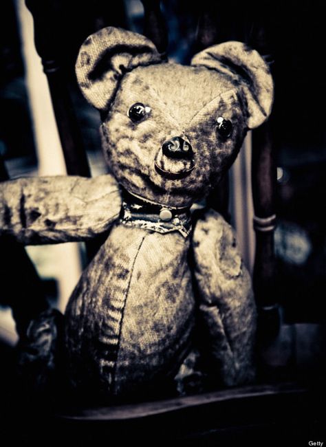 Creepy Teddy Bear Dark Teddy Bear Aesthetic, Teddy Bear Creepy, Creepy Teddy Bear, Scary Teddy Bear, Old Teddy Bears, Human Bones, Bear Photos, Face Reveal, Photoshoot Ideas