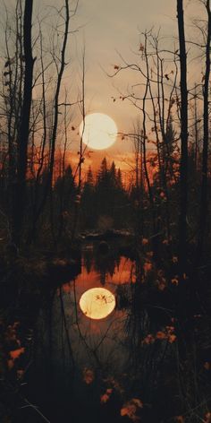 Wallpapers Fall Autumn, Iphone Wallpaper Fall Aesthetic Simple, Fall Wallpaper Aesthetic October, Fall Aesthetic Wallpaper Vintage, Fall Outdoors Aesthetic, Moody Autumn Wallpaper, Autumn Moon Aesthetic, Autumnal Aesthetic Wallpaper, October Lockscreen Aesthetic