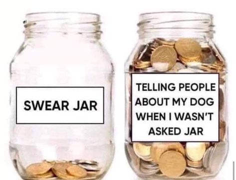 Swear jar... Queen Of Shadows, Swear Jar, Happy Memes, Memes Of The Day, Someecards, Cat Memes, Funny Memes, Humor, Memes