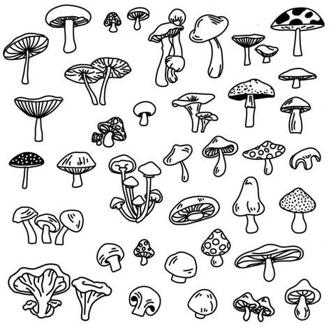 Engraving Designs, Stick Poke Tattoo, Wrist Tattoo Ideas, Wrist Tattoo Designs, Plant Doodle, Mushroom Tattoos, Mushroom Drawing, Doodle Tattoo, Doodle Ideas