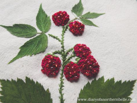 Embroidery Raspberry, Raspberry Embroidery, Raspberry Leaves, Embroidered Fruit, Sweet Embroidery, Raspberry Bush, Pressed Botanicals, Lazy Daisy Stitch, Pressed Leaves