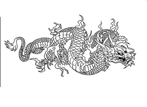 Horizontal Dragon Tattoo, Gladiator Tattoo, Fake Tattos, Japanese Dragon Tattoo, Japanese Dragon Tattoos, Chinese Tattoo, Dragon Tattoos, Bff Tattoos, Japanese Dragon