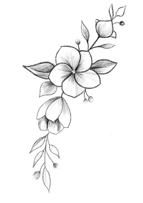 Drawing Of Flowers, Beautiful Pencil Drawings, Simple Flower Drawing, Easy Flower Drawings, Pencil Drawings Of Flowers, Beautiful Flower Drawings, Flower Drawing Design, Flower Art Drawing, White Drawing