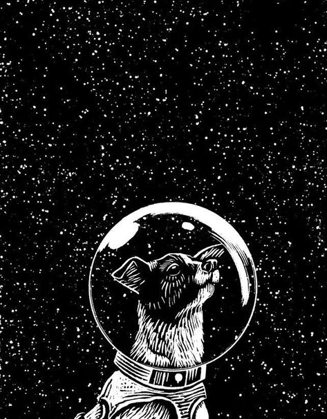 Space Dog Drawing, Laika Space Dog, Soviet Space Dogs, Laika Dog, Dog Drawing Simple, Space Animals, Space Dog, Rpg Characters, Space Tattoo