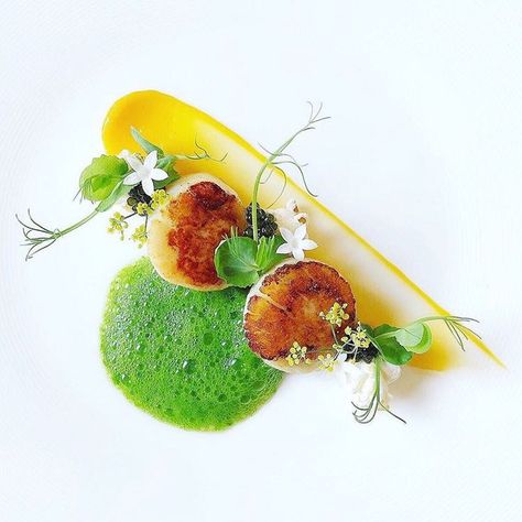 Scallop Plating, Fennel Flower, Gastronomic Food, Scalloped Sweet Potatoes, Pea Sprouts, White Galaxy, Cooking Competition, Culinary Art, Fine Dining Recipes