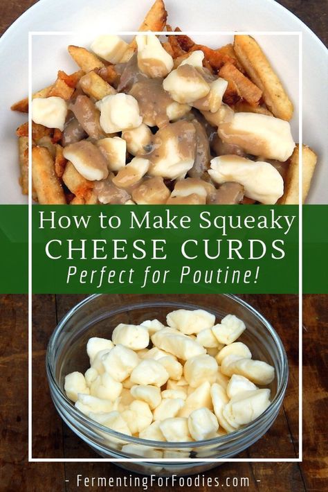 Squeaky Cheese Curds - Fermenting for Foodies Homemade Cheese Curds, Poutine Recipes, Cheese Curds Recipe, Homemade Cheeses, Raw Dairy, Food Sovereignty, Cheese Curd, Cheese Recipes Homemade, Curd Cheese