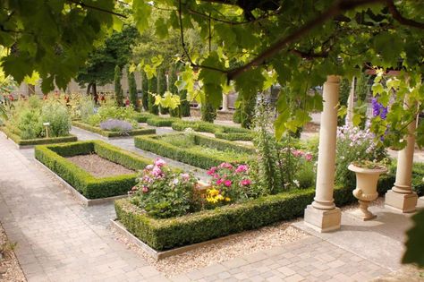 Shaded Walkway, Ancient Garden, Roman Garden, Growing Vines, Ancient History Facts, Asian Garden, British Garden, Gardening Techniques, Italian Garden