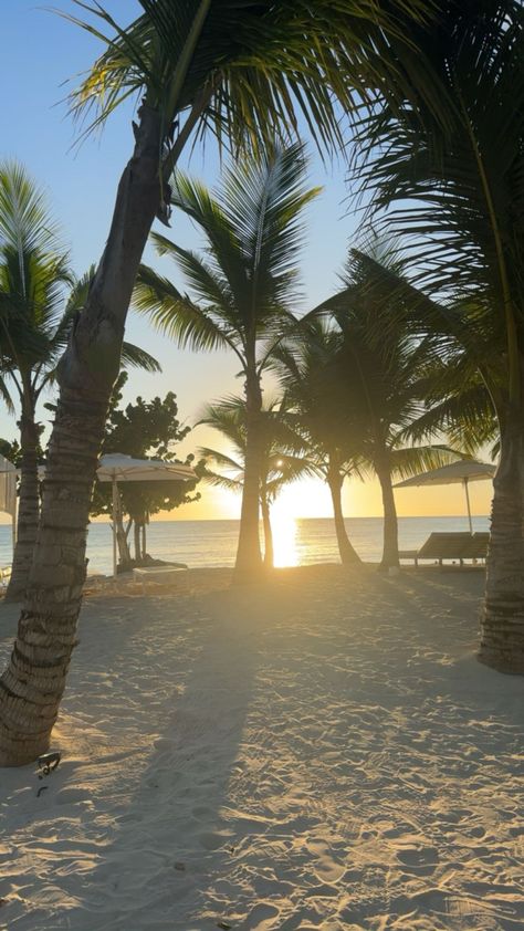 beach, summer, tan, palm trees Holiday Asthetic Picture, Trees And Sunset, Summer Palm Trees, Minimalist Wallpaper Phone, Beach Palm Trees, Palm Tree Sunset, Sky Pics, Palm Trees Beach, Tropical Holiday