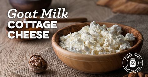 Goat Milk Cottage Cheese Recipe - Cultures For Health Milk Ideas, Cottage Cheese Recipe, Goat Milk Recipes, Goat Recipes, Diy Mixes, Diy Cheese, Goats Milk Lotion, Cottage Cheese Recipes, Cheese Cultures