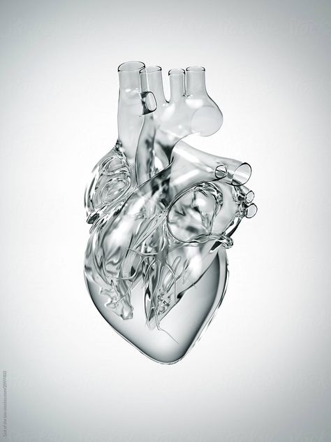 Heart Made Of Glass by Out Of The Box Albus Severus Potter, Heart Hospital, Aluminum Crafts, Graphic Design Ads, Human Heart, Futuristic Art, Grey Tattoo, Anatomy Drawing, Anatomy Art