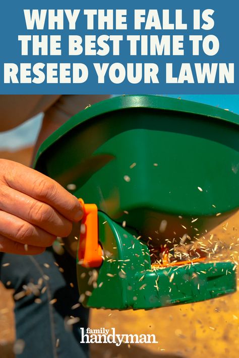 Why the Fall is the Best Time to Reseed Your Lawn Overseeding Lawn Fall, Reseeding Lawn, Overseeding Lawn, Fall Cleaning Checklist, Fall Lawn Care, Fall Lawn, Fall Landscaping, Seeding Lawn, Lawn Work