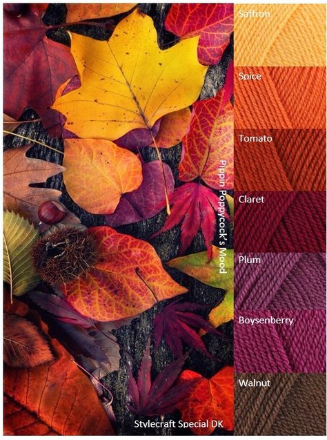 Yarn Color Combinations, Color Schemes Colour Palettes, Fall Color Palette, Colour Combos, Color Palate, Color Balance, Color Palette Design, Curtain Ideas, Color Harmony