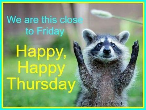 Good morning, family! Happy Thursday/Friday Eve! #goodmorning #family #happythursday #fridayeve Thursday Meme, Happy Thursday Pictures, Work Related Quotes, Thursday Pictures, Thursday Humor, Happy Friday Eve, Happy Thursday Quotes, Happy Day Quotes, Good Morning Thursday