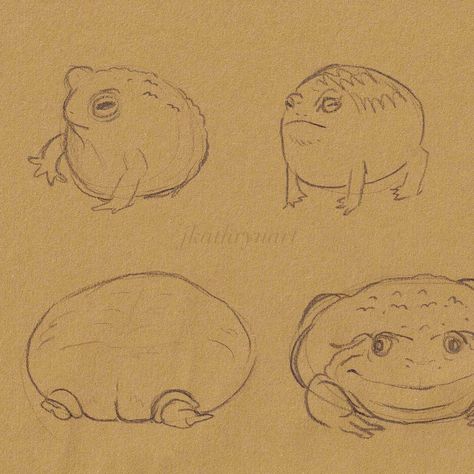 may i interest you in a frog fer yer troubles? gotta keep my frog drawing skills fresh so i did a few lil sketches, my favorite is the pancake guy (yeah that’s it’s super scientific name actually they just discovered it and let me name it) How To Draw Frog, Lil Sketches, Frog Drawing, Scientific Name, A Frog, Drawing Skills, May I, Name It, My Favorite