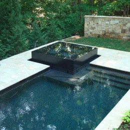 Backyard Pool And Pool House Ideas, Pool With Elevated Spa, Perimeter Overflow Spa, Pools With Raised Spa, Dark Blue Pool Color, Raised Spa With Pool, Elevated Pool Design, Pool With Raised Spa, Anthony Sylvan Pools