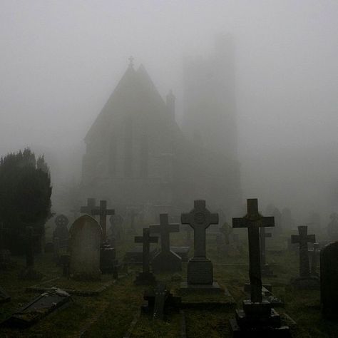 Cemeteries Photography, Old Cemeteries, Southern Gothic, Gothic Aesthetic, Goth Aesthetic, The Fog, Dark Places, Six Feet Under, Dark Photography