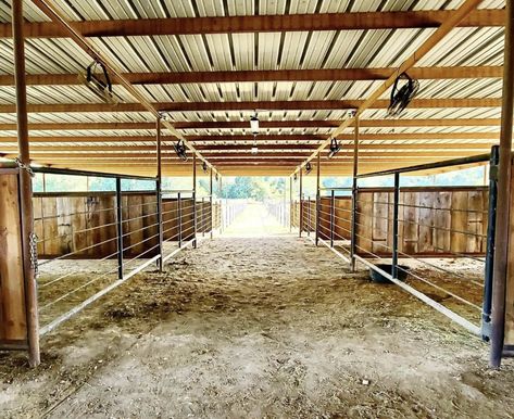 Horse Stalls With Runs, Show Barn Ideas Cattle, Stalls With Runs Horses, Show Cattle Barn Layout, Hay Feeder For Horses Stalls, Indoor Horse Arena With Stalls, Show Cattle Barn, Cattle Pens, Horse Pens