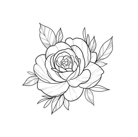 Female Tattoo Designs For Women, Rose Outline Drawing, Tattoo Crane, Traditional Tattoo Outline, Flower Tattoo Stencils, Rose Tattoo Stencil, Rose Drawing Tattoo, Rose Stencil, Tato Henna