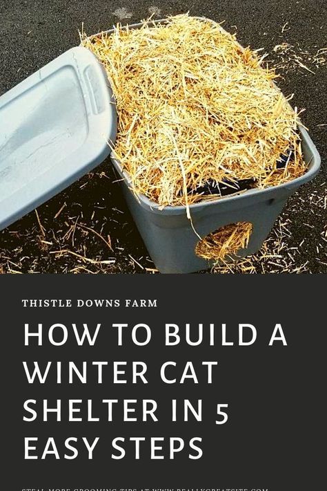 Winter Cat Shelter, Outdoor Cat Shelter Diy, Outside Cat Shelter, Shelter Architecture, Cat Shelters For Winter, Insulated Cat House, Outside Cat House, Outdoor Cat Shelter, Feral Cat Shelter