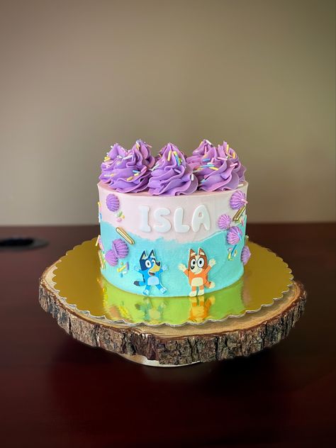 Bluey Smash Cake Boys, Bluey Cake Ideas Smash Cake, Bluey Smash Cake, Bluey Bingo Smash Cake, Bluey Cake Sprinkles, Bluey Cake Smash Photography, Cake Smash, Cake, Birthday