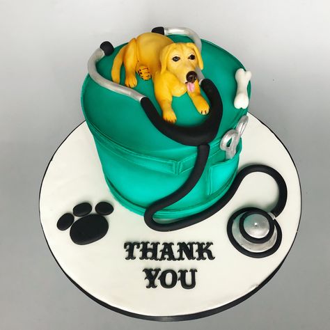 Veterinary Cake Ideas, Veterinarian Cake Birthdays, Veterinarian Cake, Vet Cake Birthday, Vet Birthday Party, Vet Themed Birthday Party, Vet Cupcakes Cake Ideas, Vet Cake, Medical School Graduation Party Ideas