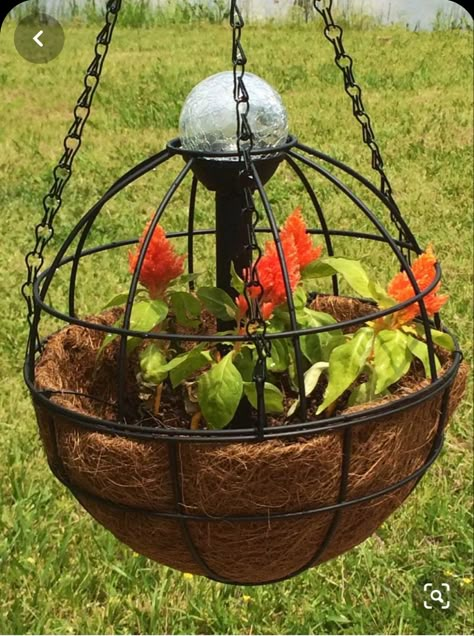 Garden Globes, Garden Containers, Outside Decor, Garden Yard Ideas, Hanging Planter, Container Gardens, Container Garden, Yard And Garden, Garden Stuff