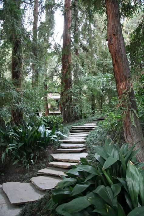 Flagstone Steps, Contemporary Landscape Design, Path Ideas, Garden Stepping Stones, Stone Walkway, Garden Walkway, Redwood Tree, Stone Path, Forest Garden